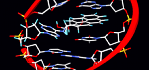 300px-pyrene_adduct.png