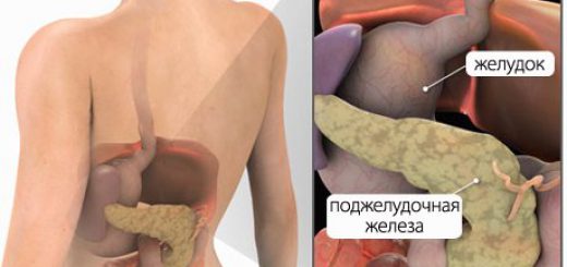 gde-podzheludochnaya-zheleza_1.jpg