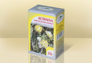 Настойка астрагала