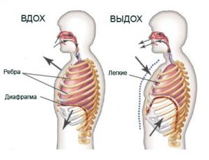 диафрагмальное дыхание.jpg